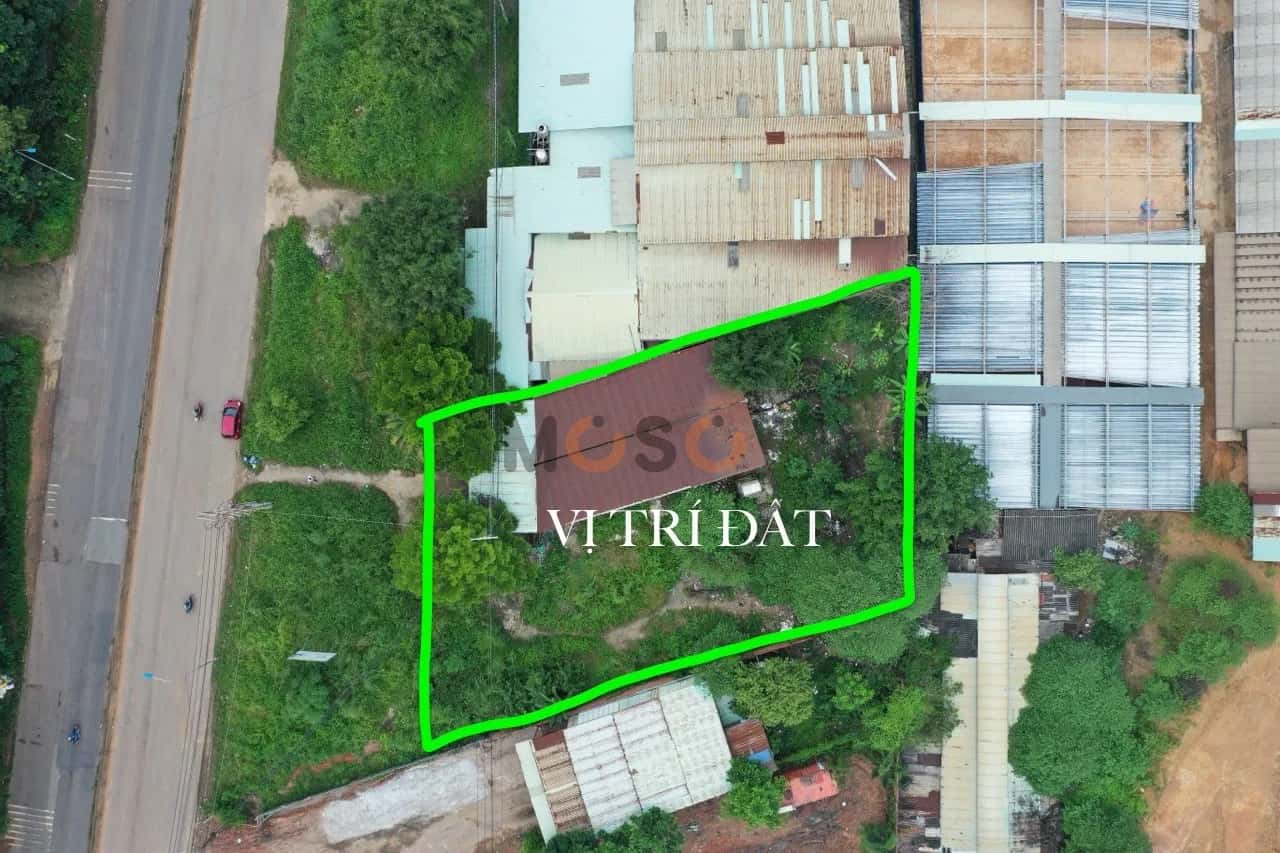 Bán đất Ấp 5 Huyện Long Thành, Đồng Nai – giá 14.5 tỷ — Hình 2